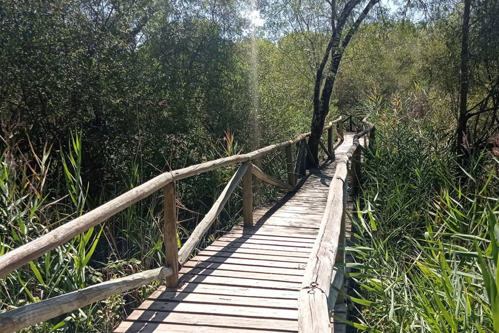 Parque Nacional de Doñana znajduje się na Liście Światowego Dziedzictwa UNESCO.