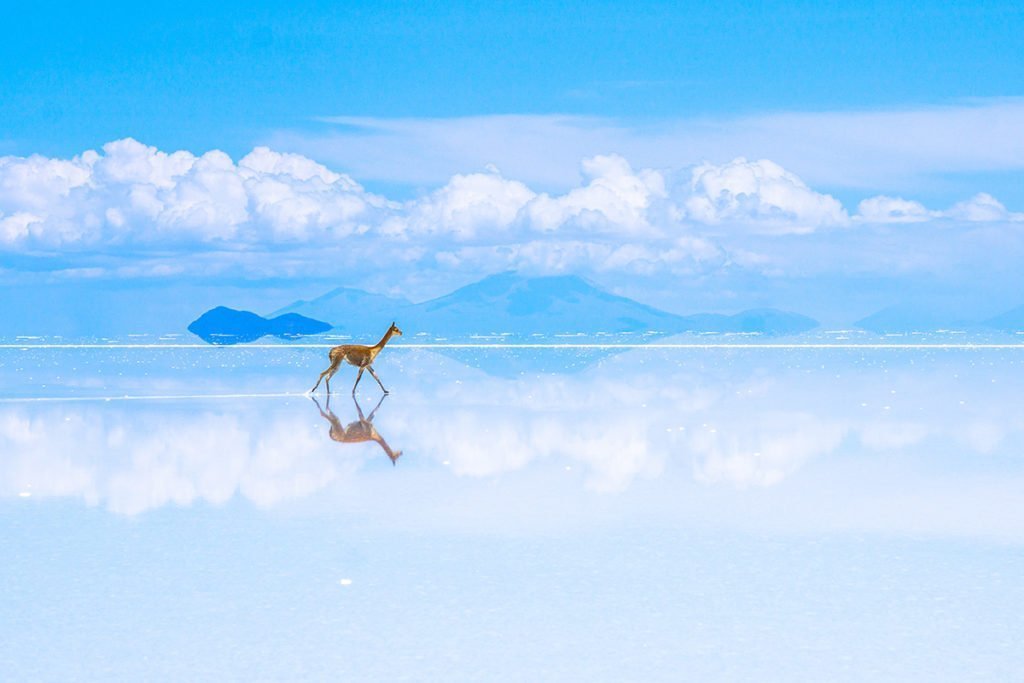 Salar de Uyuni - pustynia solna w Boliwii