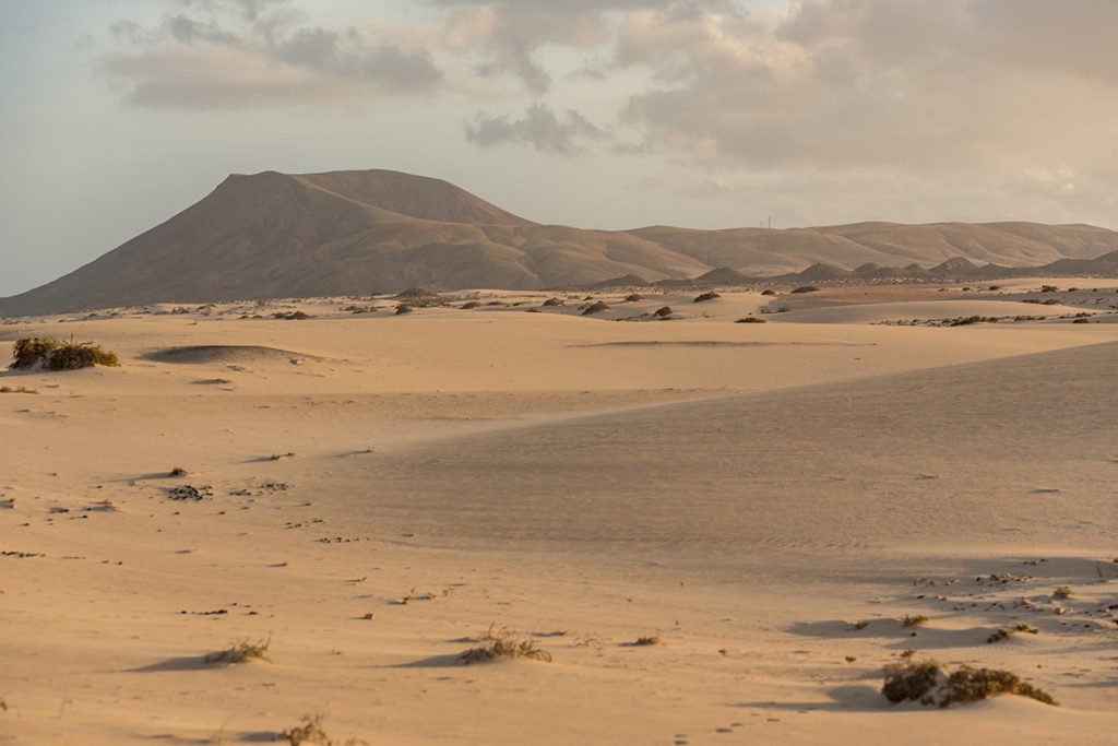 Rezerwat przyrody Dunas de Corralejo, Fuerteventura