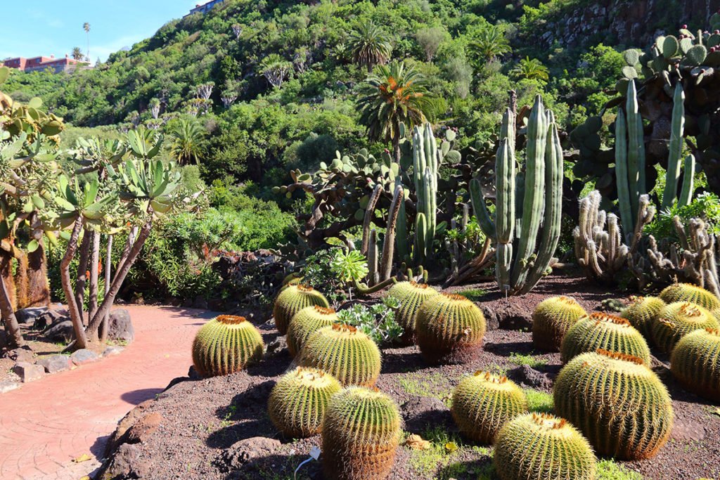 W Jardín Botánico Viera y Clavijo na Gran Canarii zachwyca nie tylko bogata szata roślinna, ale także całe otoczenie