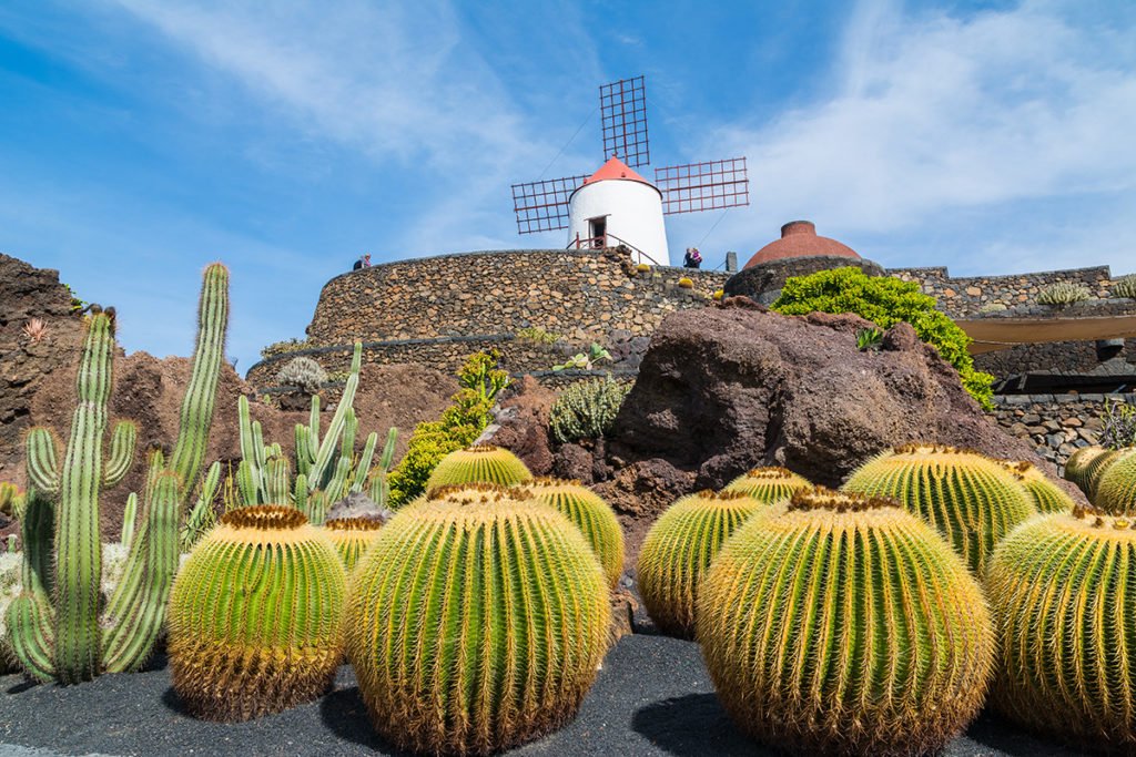 Jardín de Cactus - to ogród, który zaprojektował César Manrique