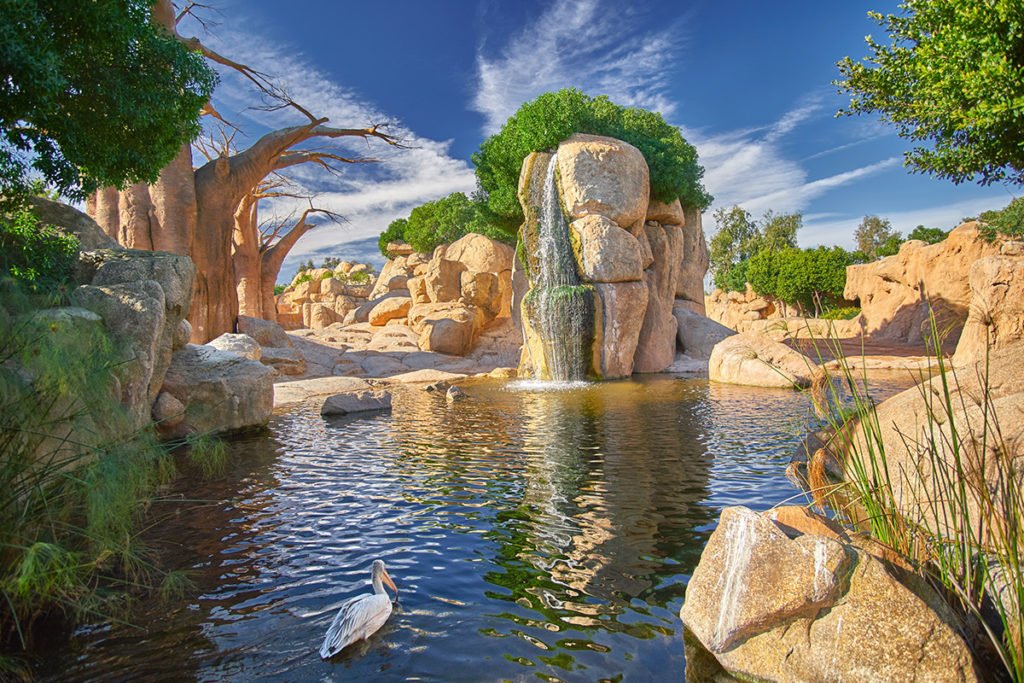 Afrykańskie mokradła w Bioparc Valencia