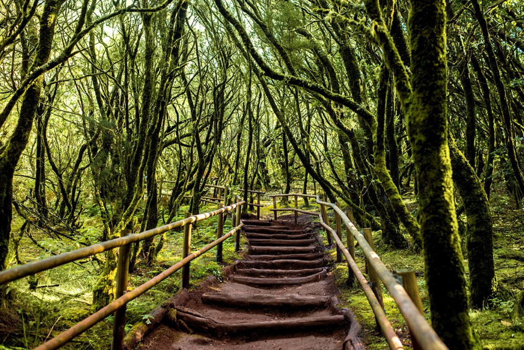 Park Narodowy Garajonay