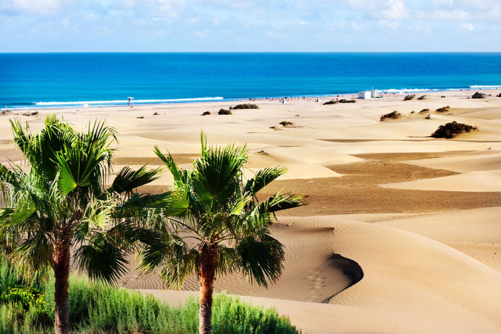 Palm trees and golden sand line the long beach between Maspalomas and Playa del Inglés