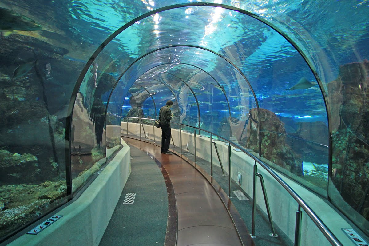 Podwodny tunel Oceanarium w Barcelonie (Costa Brava)