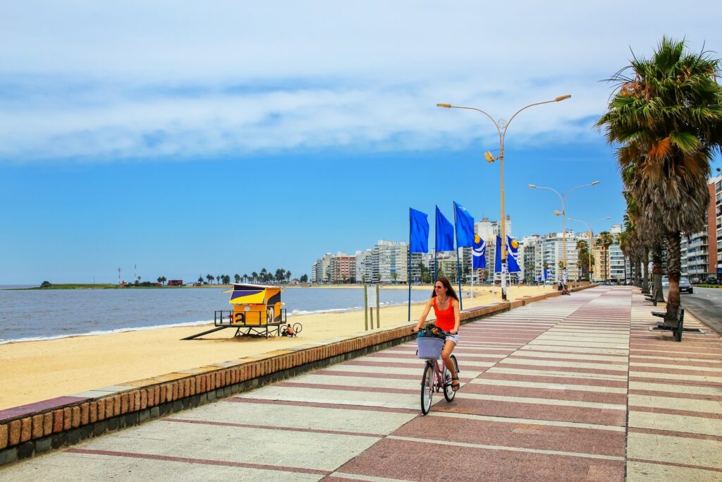 Rambla w dzielnicy Pocitos to ulubione miejsce spacerów i przejażdżek rowerowych mieszkańców Montevideo