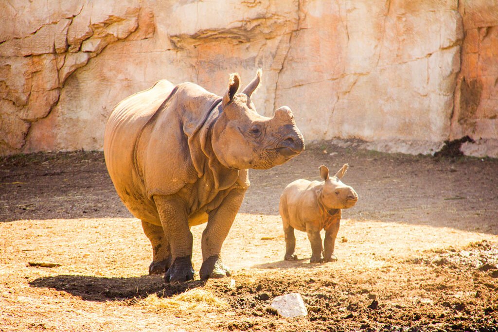 Terra Natura Benidorm - Tematyczny ogród zoologiczny w Benidorm