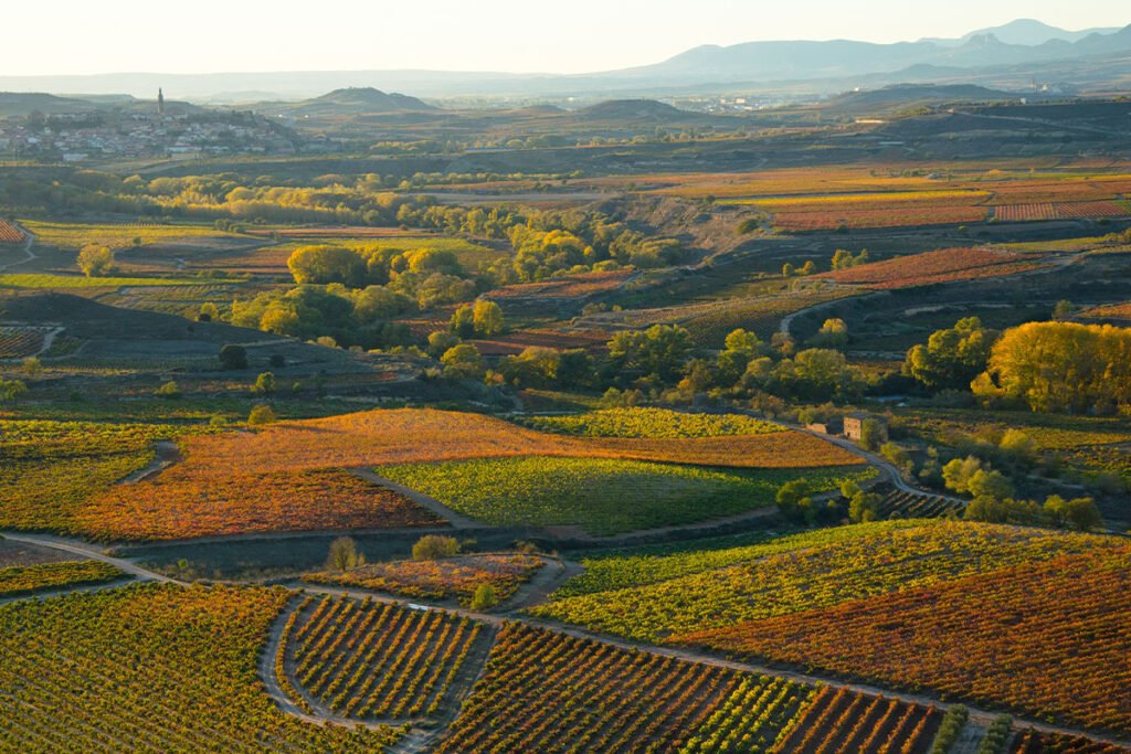 Uprawy winorośli w La Rioja