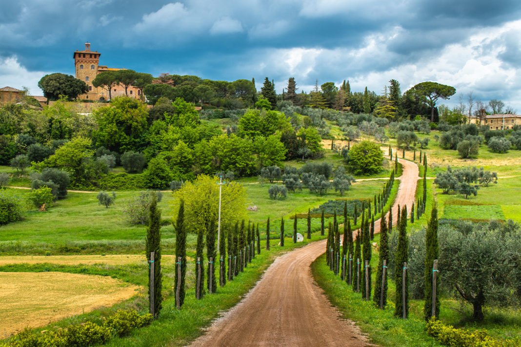 Chianti - najsłynniejszy rejon winiarski w Toskanii