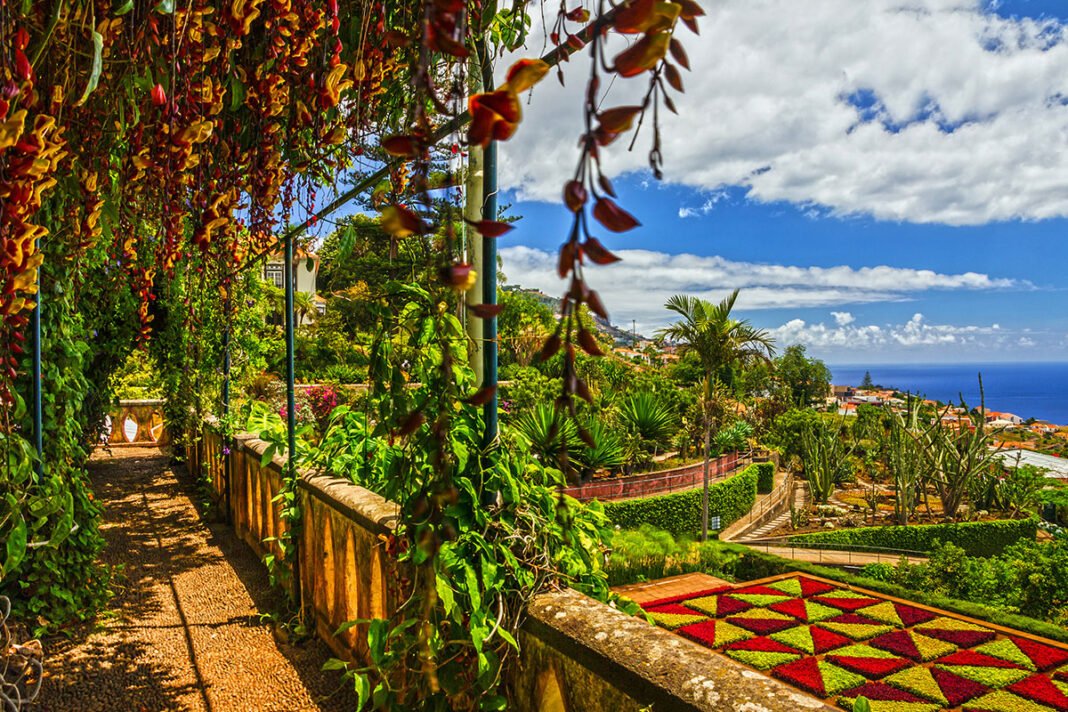 Funchal – Stolica pływającego ogrodu