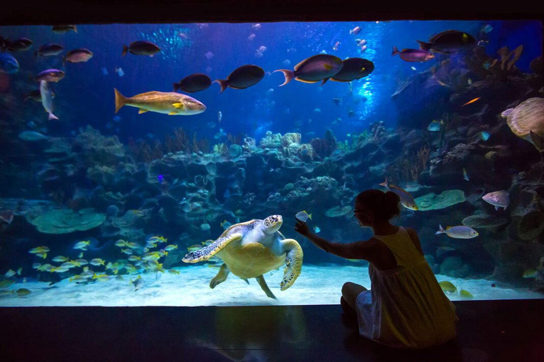 Aquarium de Paris – Podwodny świat w centrum Paryża