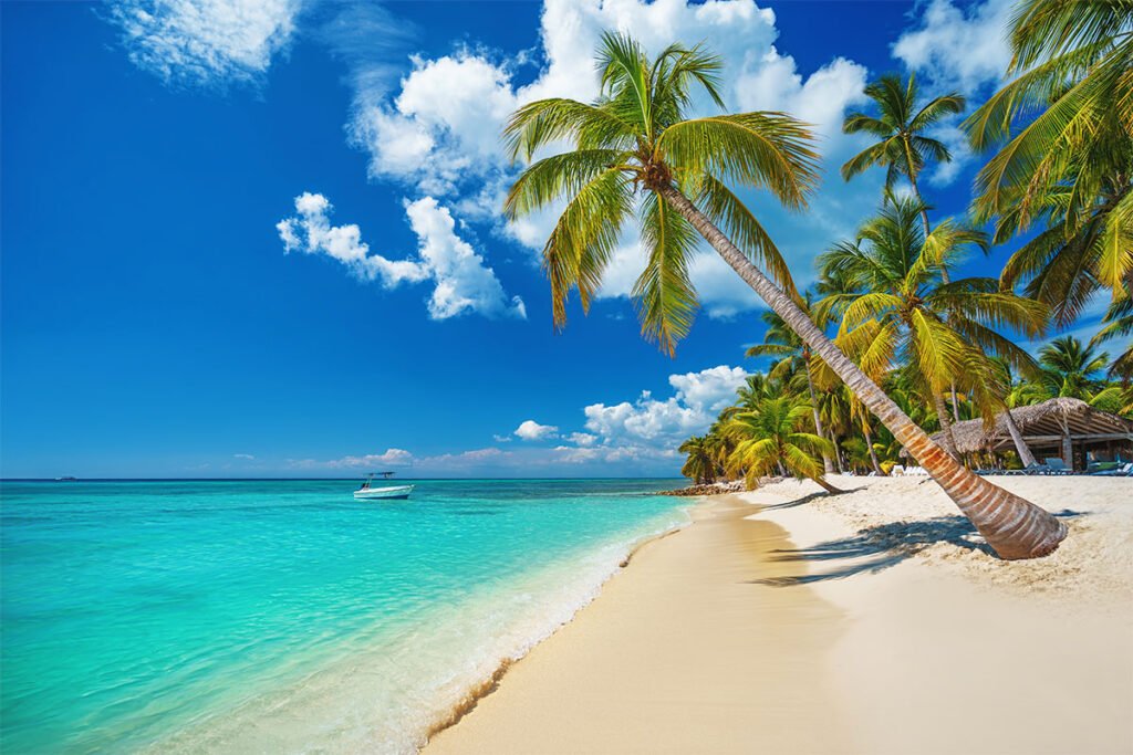 Biała plaża i palmy w Punta Cana
