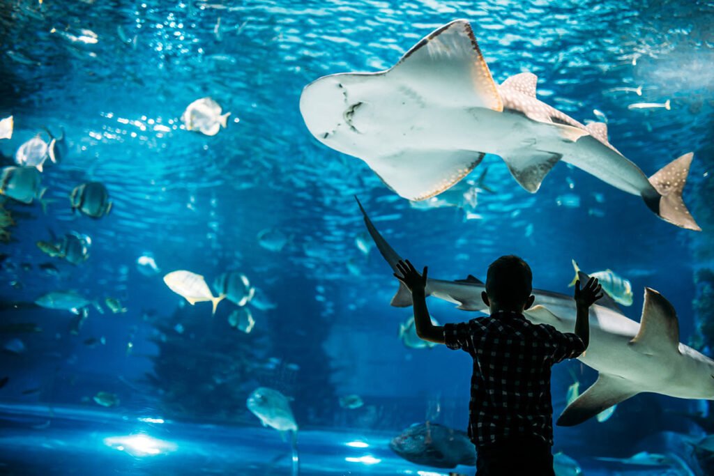 Zoo Aquarium de Madrid przy Casa de Campo - Niezwykły ogród zoologiczny w stolicy Hiszpanii