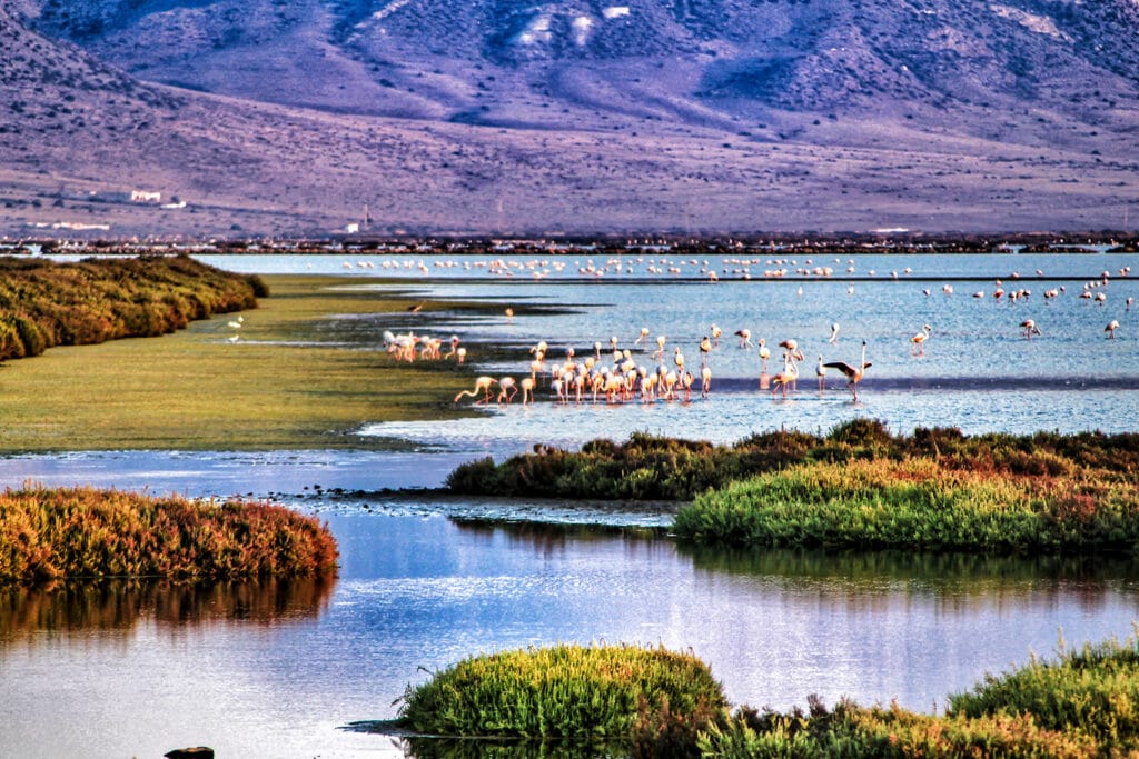 Cabo de Gata - W drodze na surowe wybrzeże południa Hiszpanii
