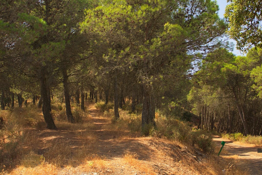 Szlaki trekkingowe w Parque Natural Montes de Málaga